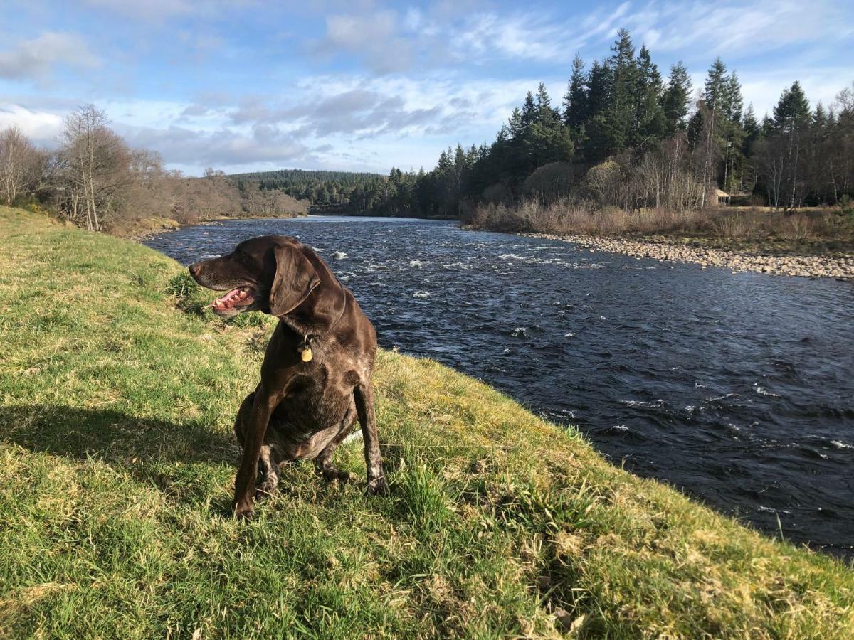 Apartmán Tanar View Aboyne Exteriér fotografie